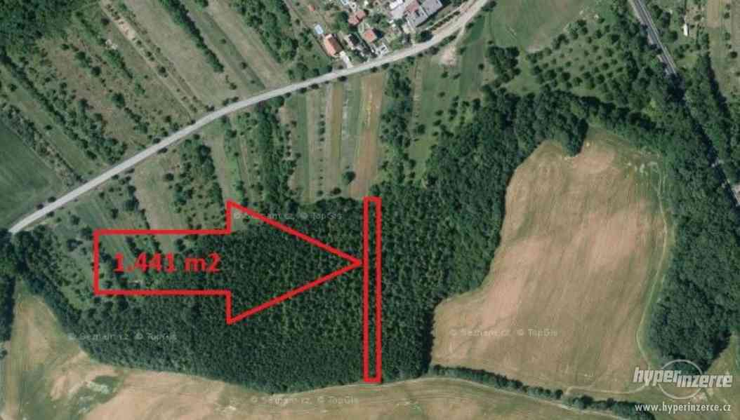Prodej lesního pozemku v obci Nížkovice okr. Vyškov - foto 1
