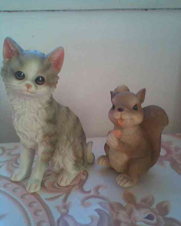 Nová kočička a veverky - foto 2