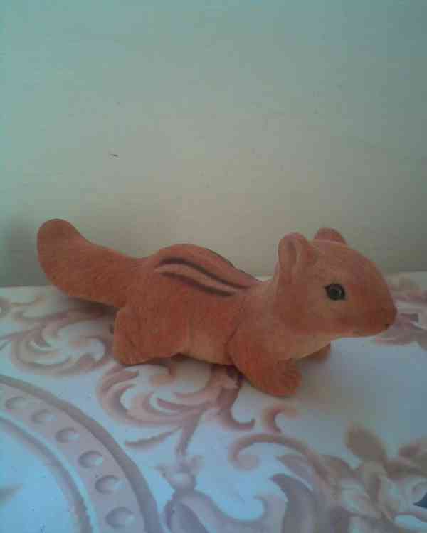 Nová kočička a veverky - foto 3