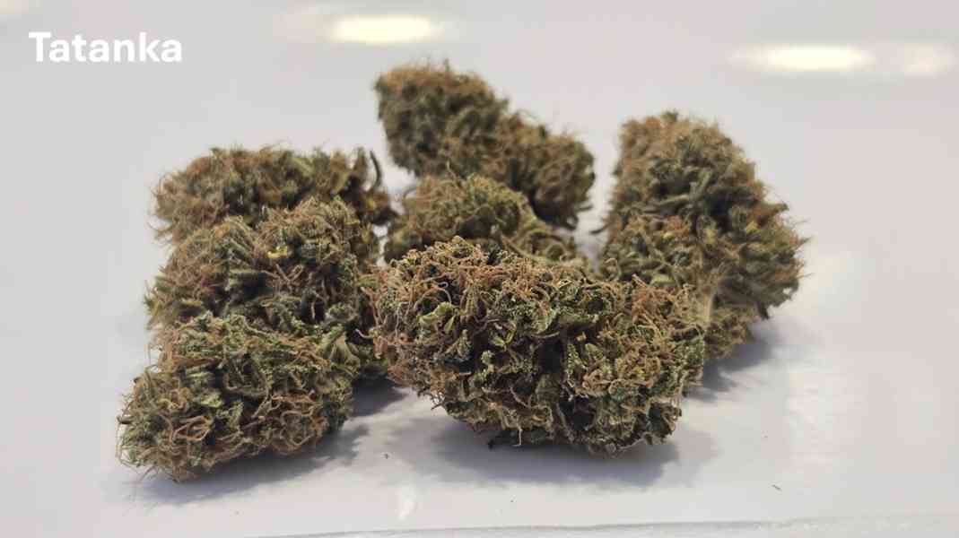 Bio Květy CBD nejvyšší kvality - sběratelský předmět - foto 2
