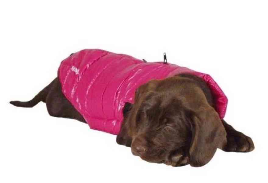 Doogy! Fun Fashion – Zimní zateplená vesta pro psy - foto 2