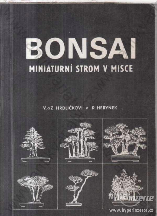 Bonsai miniaturní strom v misce 1985 - foto 1