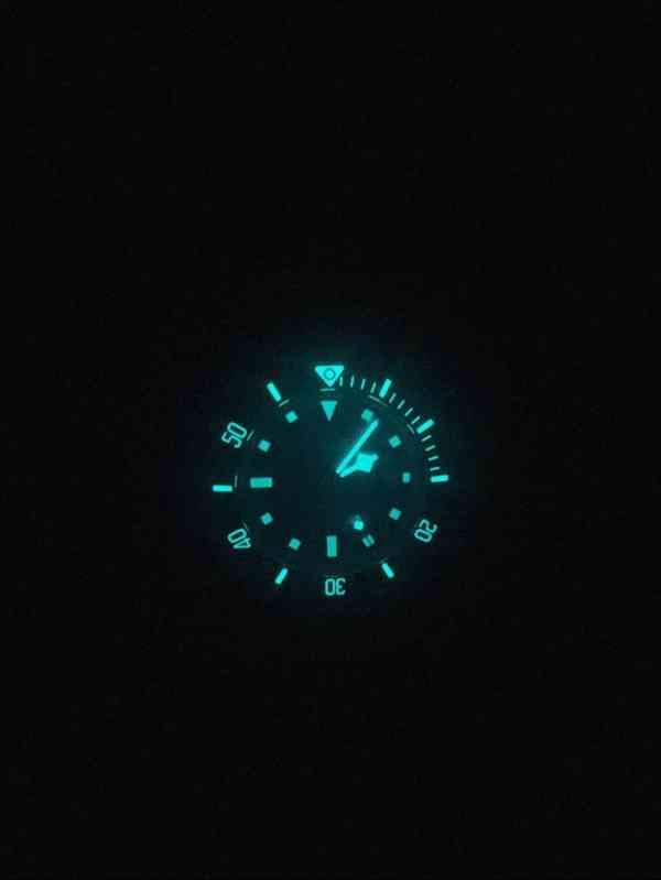 Tudor Pelagos 1:1 - foto 5