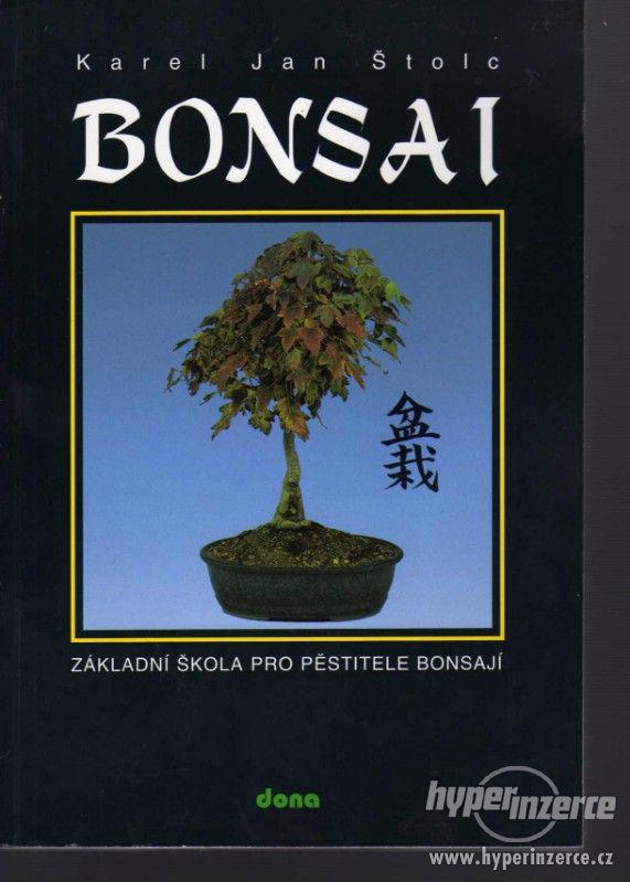 Bonsai  Karel Jan Štolc 1998 - Základní škola - foto 1