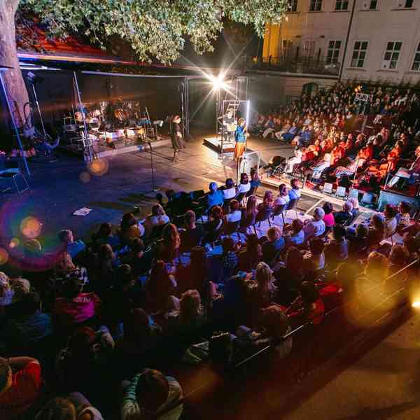 Tomáš Klus & Jiří Kučerovský Racek Unplugged - vstupenka  - foto 2