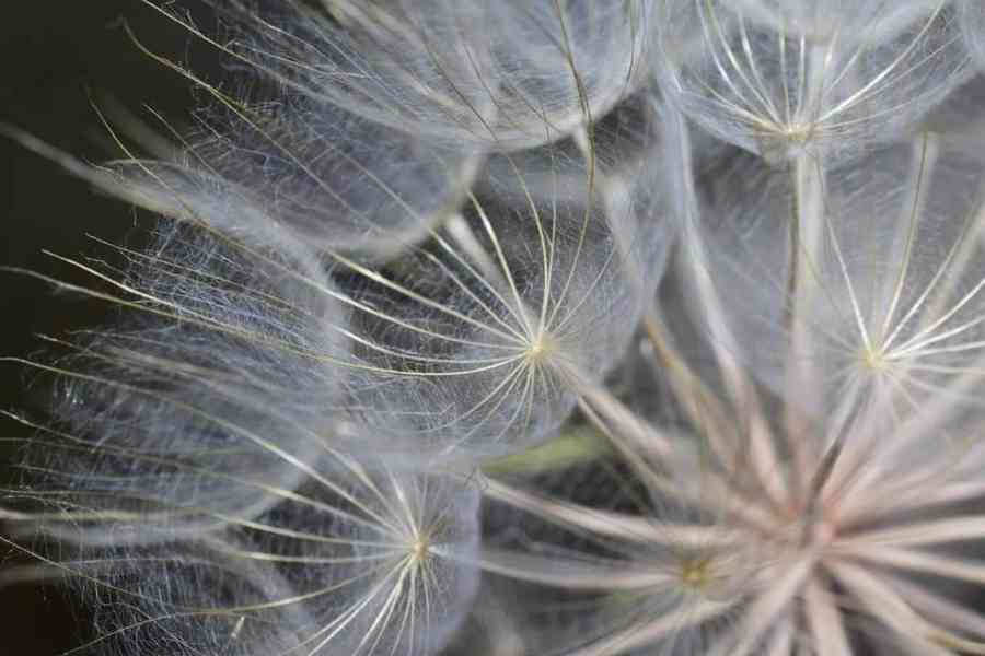 Fotografování  - foto 2