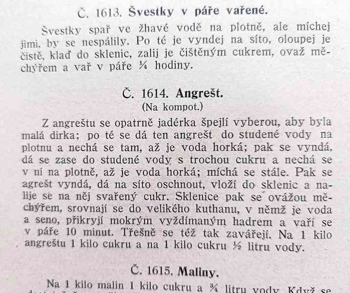 Kuchařská kniha domácnosti, Rakousko-Uhersko, rok 1914 - foto 14