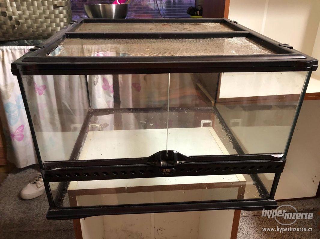 Prodám terárium - foto 1