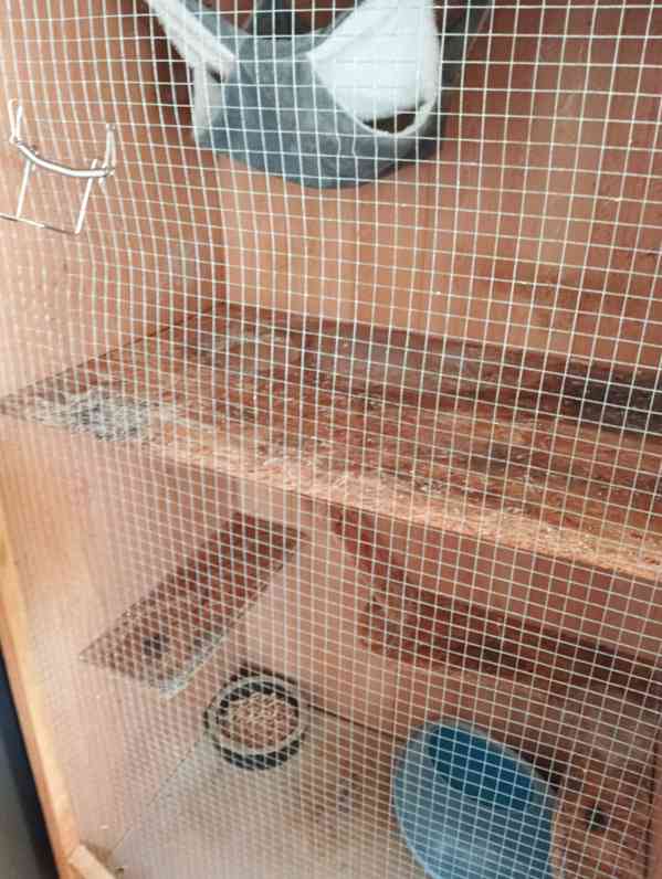 Klec ma zvířata - foto 5