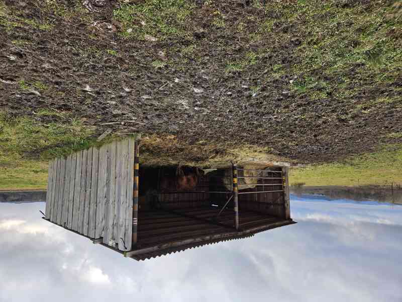 Přístřešek na pastvu, na dříví montovaný - foto 4