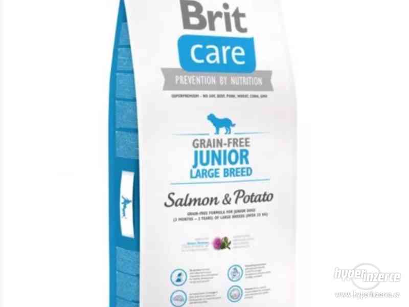 Brit Care Junior- Losos a brambor pro štěňata velkých plemen - foto 2