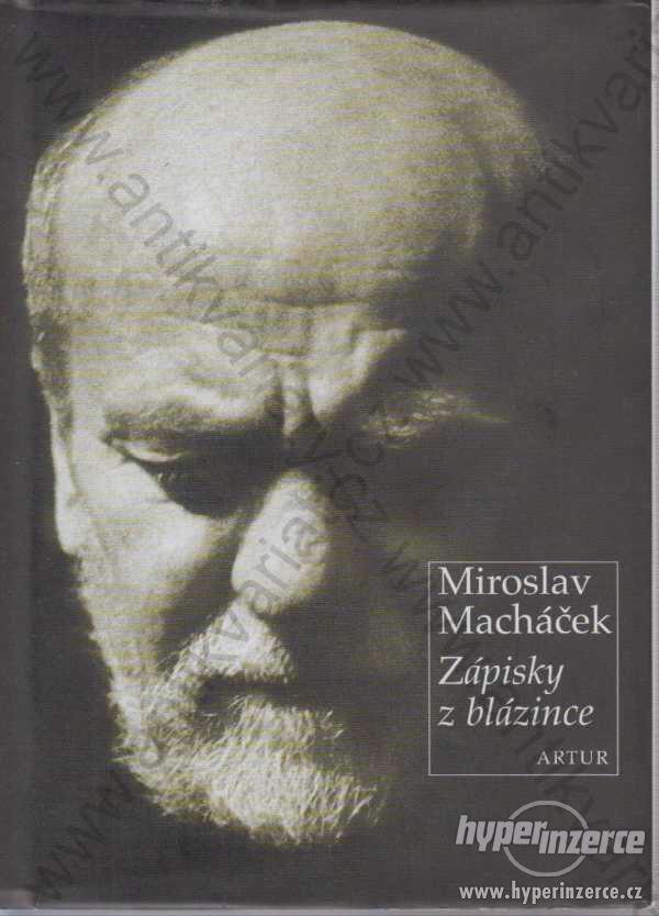 Zápisky z blázince Miroslav Macháček Artur 2008 - foto 1