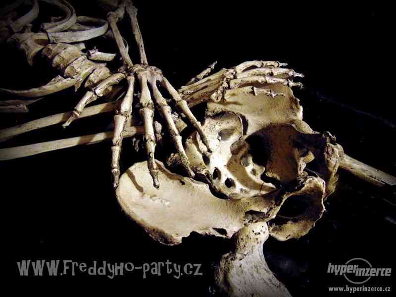 Replika člověka v životní velikosti. Lebky a kosti dekorace - foto 3