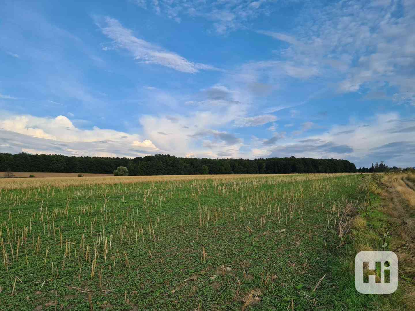 Komerční pozemky určené pro stavbu obchodních zařízení na hlavní třídě v Plzni - foto 27