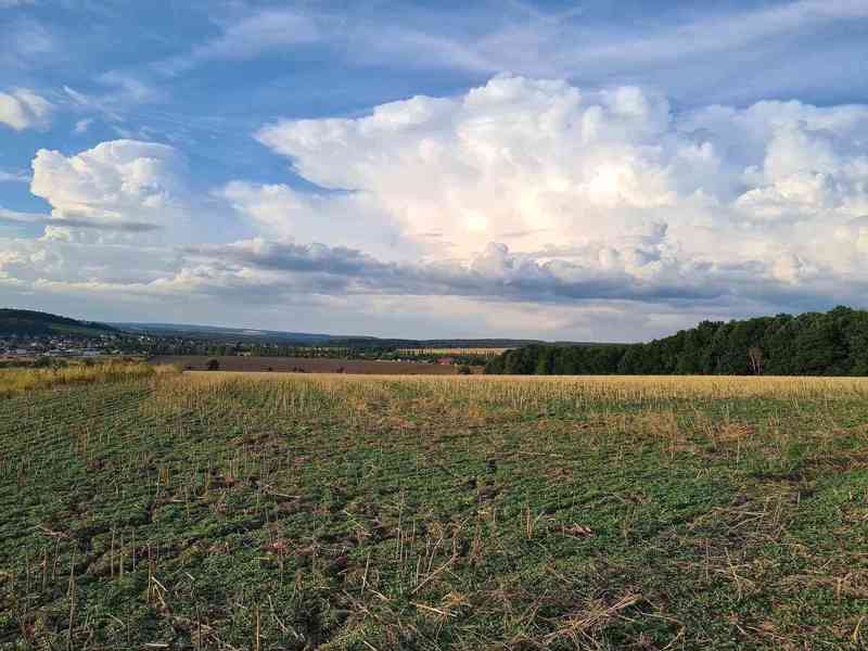 Komerční pozemky určené pro stavbu obchodních zařízení na hlavní třídě v Plzni - foto 25