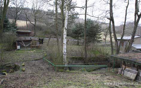 Prodej pozemku s chatou Sebuzín - Tlučeň - foto 8