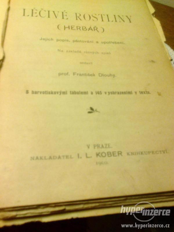 Herbář Léčivé rostliny Prof.Fr.Dlouhý, 2. vyd. r.1900 - foto 4