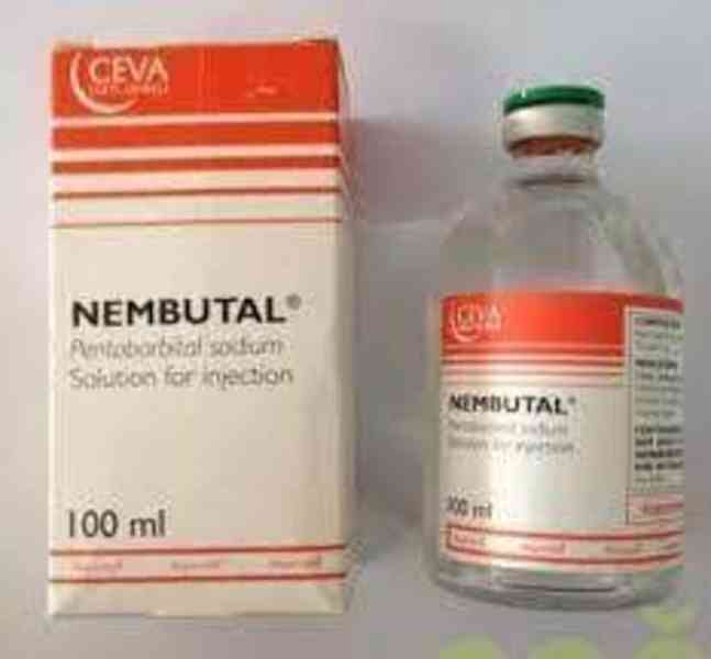 Koupím  Pentobarbital, Penbital, Nembutal. - foto 2