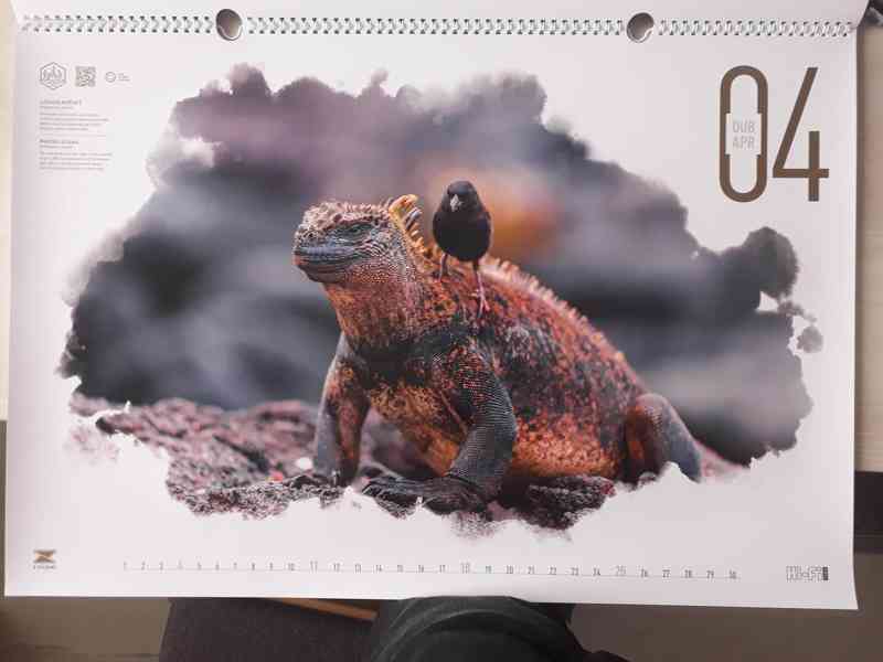  Kalendář Ondřej Záruba - Zvířata Islandu 2021 - foto 3