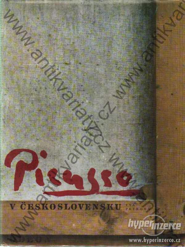 Picasso v Československu - foto 1