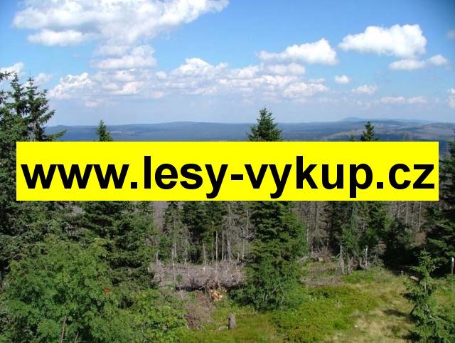 Koupíme lesy - foto 1