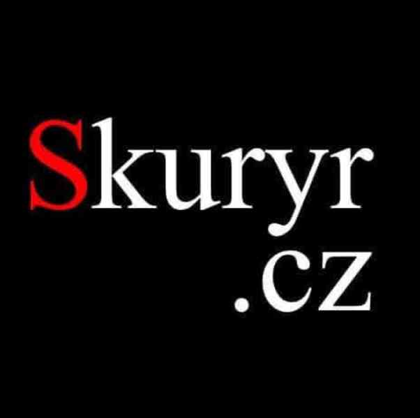 Doručení zásilky do Plzně ještě dnes Skuryr.cz - foto 2