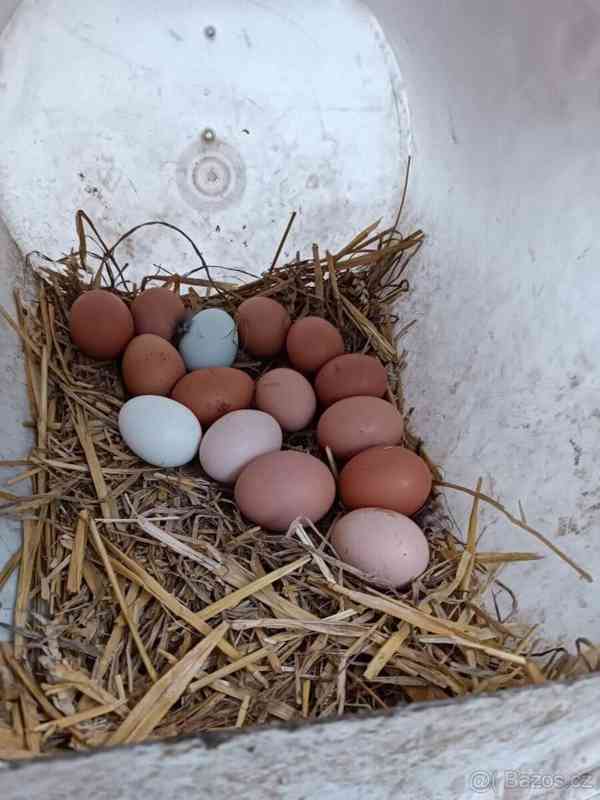 Domácí vajíčka  - foto 1