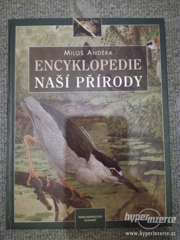 Prodám knihu Encyklopedie naší přírody - foto 1