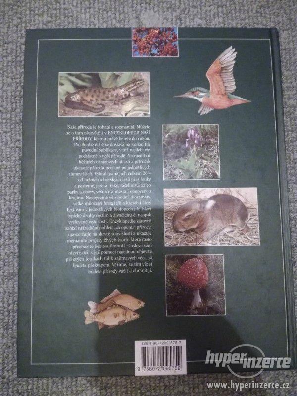 Prodám knihu Encyklopedie naší přírody - foto 2