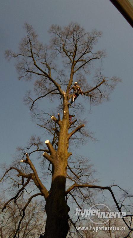 Kácení stromů Tišnov a okolí , Rizikové kácení stromů - foto 2