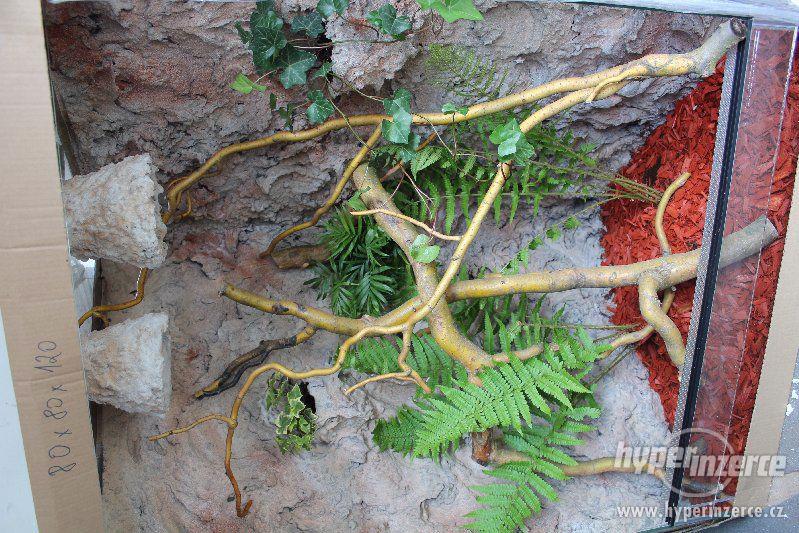 Terárium nové, kompletně vybavené s živými rostlinami - foto 19