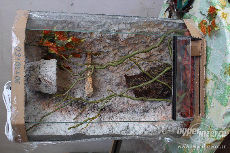 Terárium nové, kompletně vybavené s živými rostlinami - foto 20
