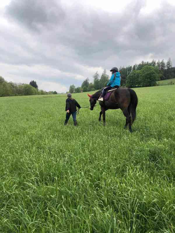 PASTEVNÍ USTÁJENÍ na Vysočina, v Sázavě - foto 5