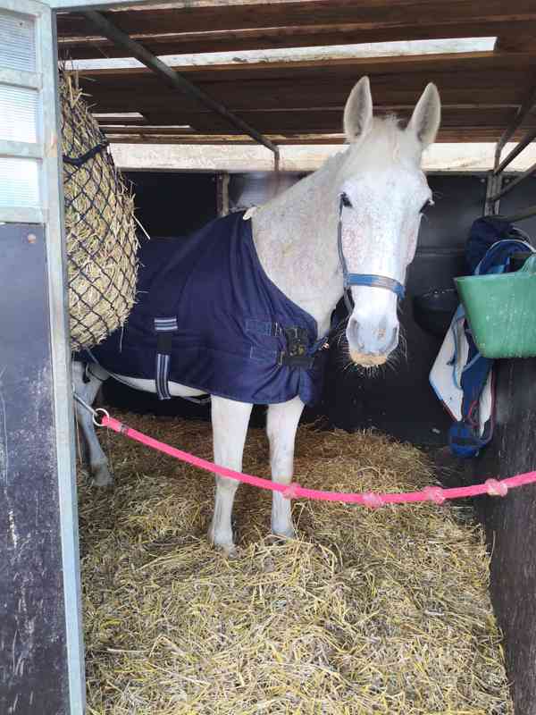 Ježdění na koni - foto 3