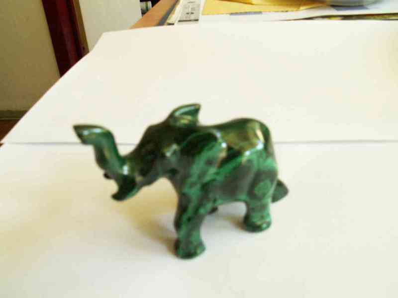 Nabízím slony s chobotem nahoru - foto 2