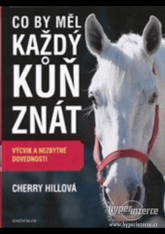 kniha : Cherry Hillová -co by měl každý kůň znát - foto 1