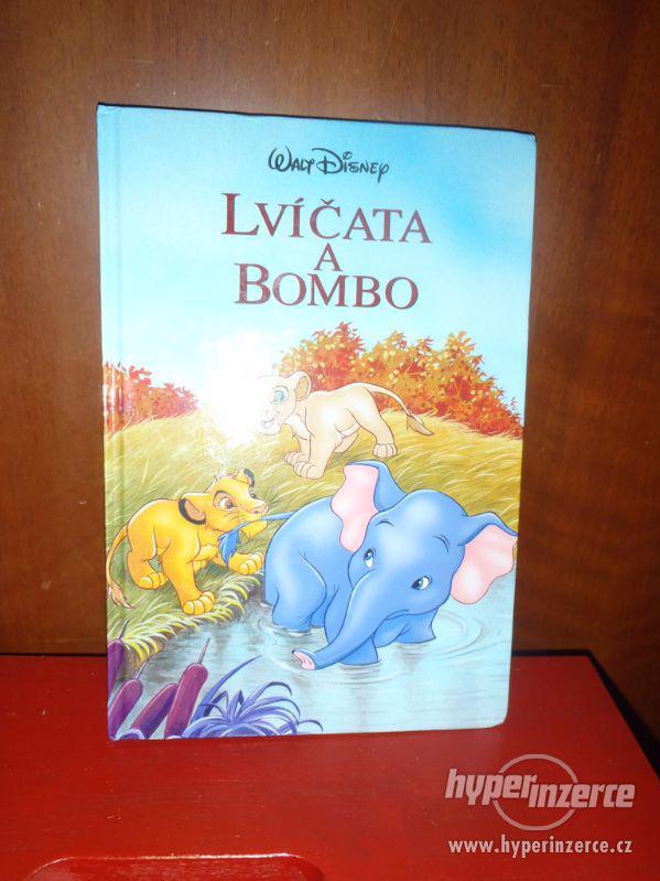 Walt Disney Lvíčata a Bombo Dětský knižní klub - foto 1