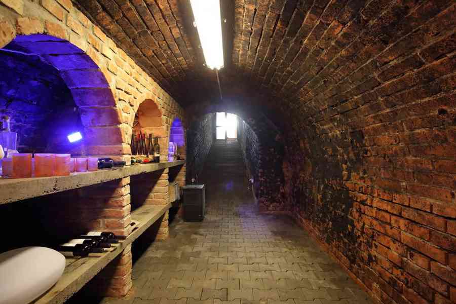 Dům s hospodářskými budovami, bazénem a vinicí ve Vinici/SK - foto 8