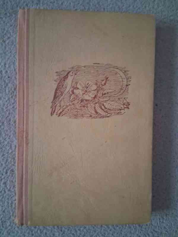K. H. Mácha - Máj (rok vydání 1945) - foto 3