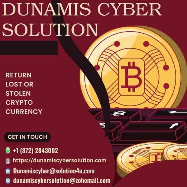 DUNAMIS CYBER SOLUTION TO RECOVER  HACKED FUNDS, BITCOINS - foto 3