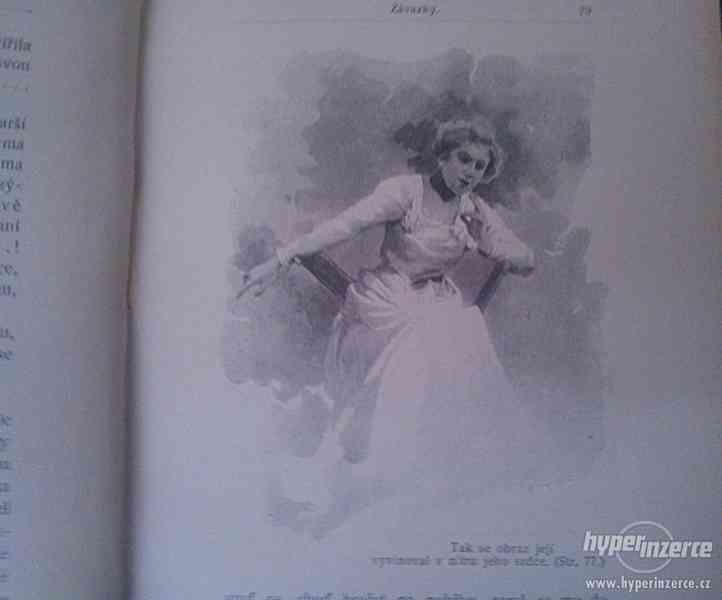 Ignát Hořica: Z LIDSKÉ BÍDY / rok vydání: 1902 - foto 8