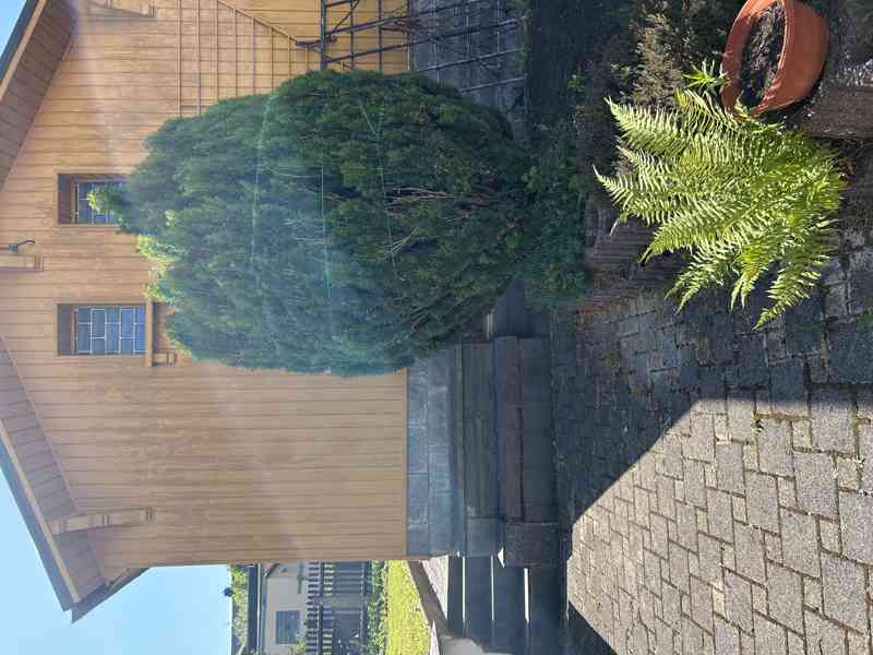 Dům v Německu  - foto 19