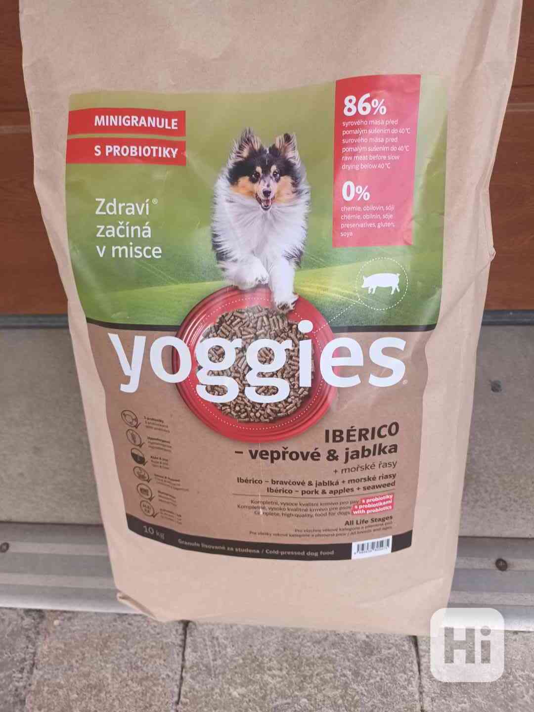Kvalitní jídlo pro psa - foto 1