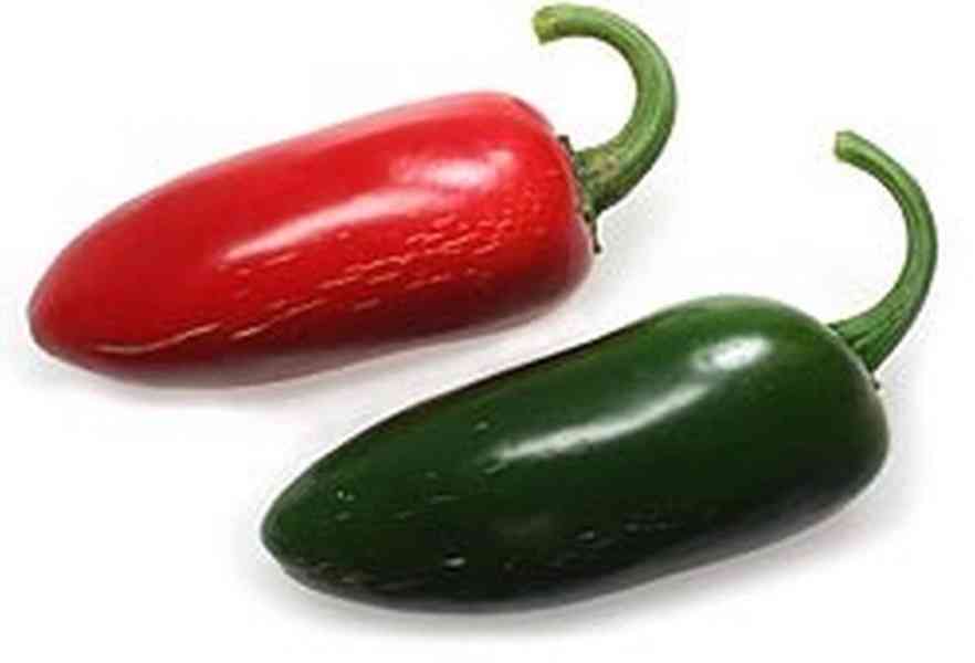 Sazenice Chilli Jalapeňo - foto 1