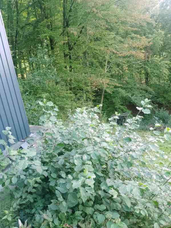 Prodej Chaty, Zlín-Přítluky, Nad Pramenem, 597m² - foto 8
