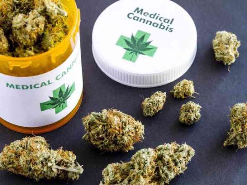 Medical Marijuana plant . WhatsApp: ‪+34 691 11 04 90‬ - foto 2