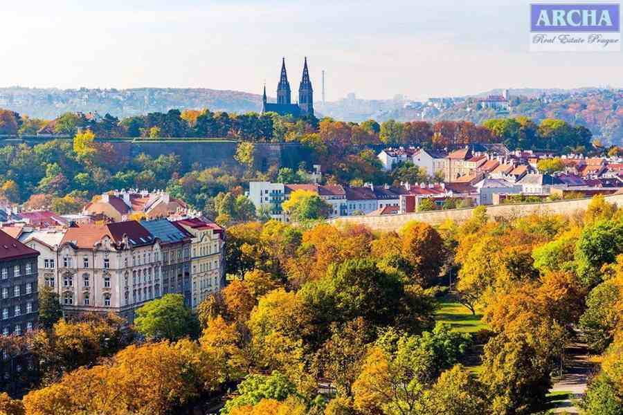 Prodej 1+1, plocha 41,9 m2, snížené přízemí, Praha 4 Nusle - foto 12