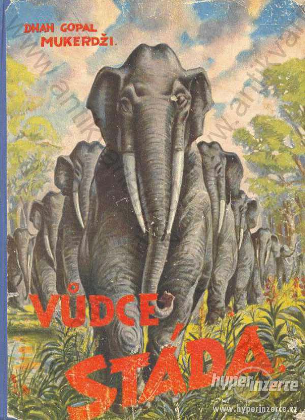 Vůdce stáda Dhan G. Mukerdži Čtení o slonech 1946 - foto 1