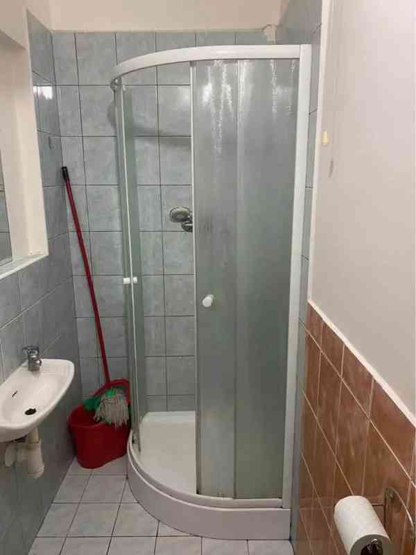 Pronájem bytu 1+1 56 m² - foto 9