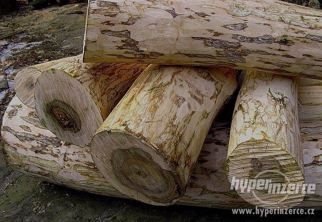 Tvrdé dřevo pro řezbáře a soustružení - foto 1